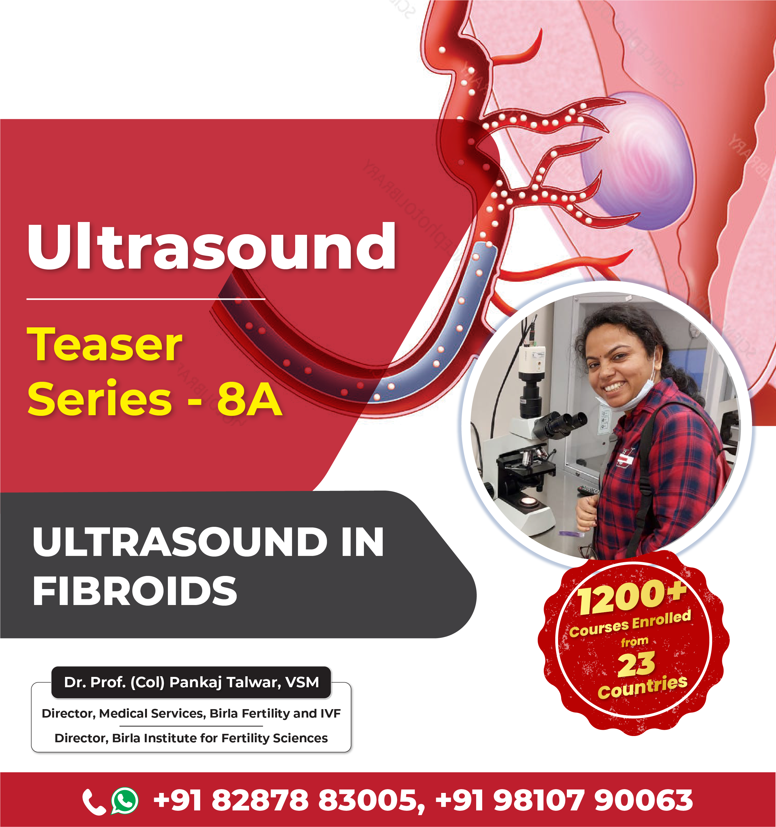 ultrasound Series 08a
