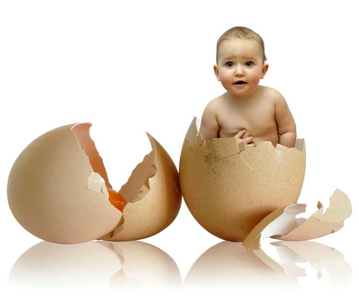 Egg banking 2