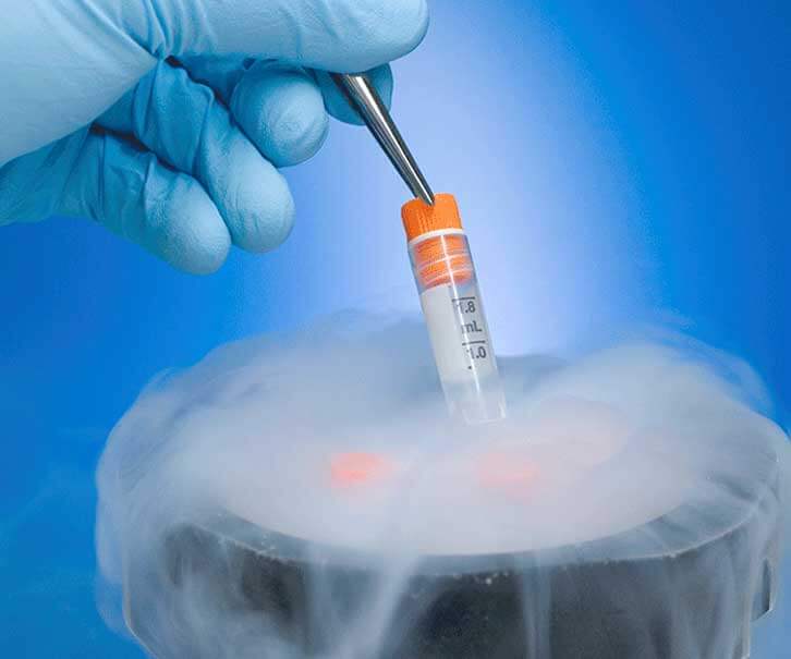 Embryo freezing 2